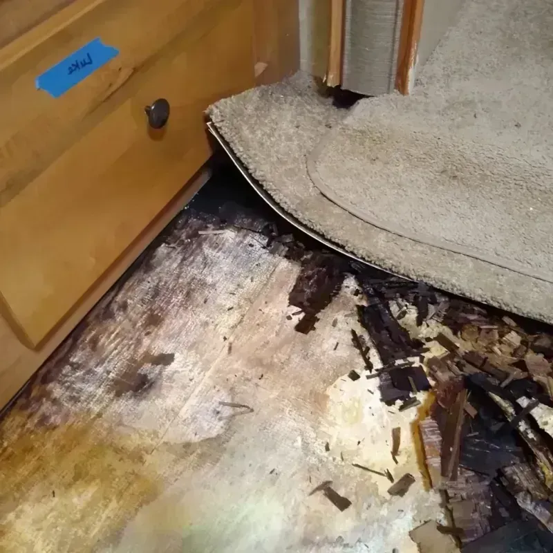 Best Wood Floor Water Damage Service in Vidalia, LA